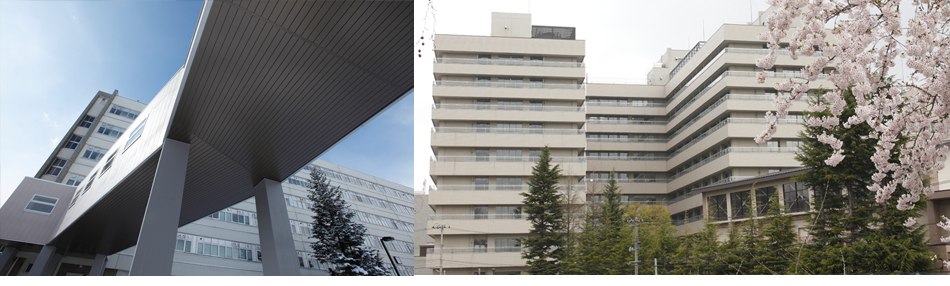 School of Medicine Hirosaki University Tenure-Track