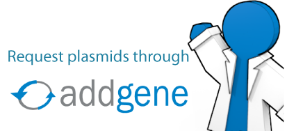 Request plasmids through addgene