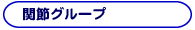 関節グループ