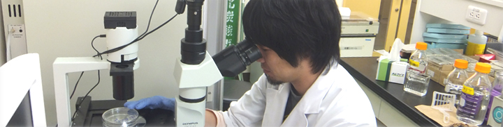 Tenure-track faculties Yuki Tobisawa