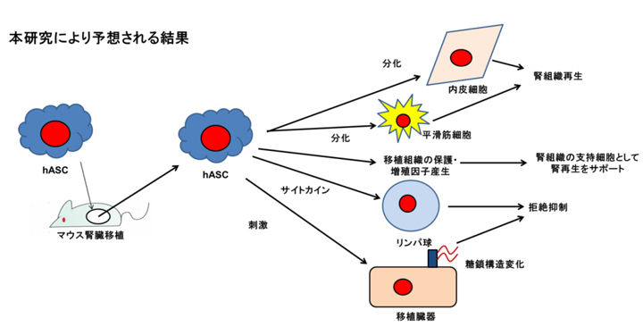 研究概要