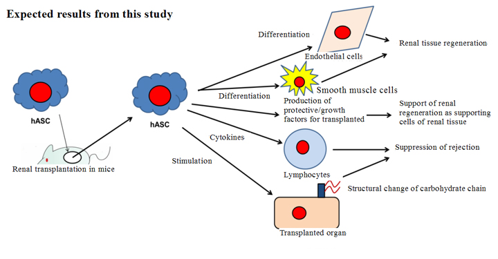 Outline of research02