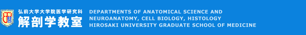 弘前大学大学院医学研究科 解剖学教室